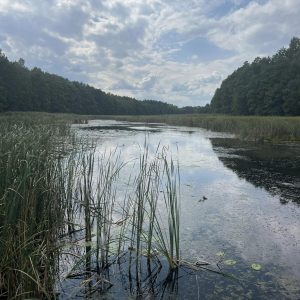 Rzeka w okolicy Bajkowej